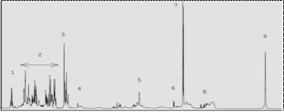 NMR Scan.png