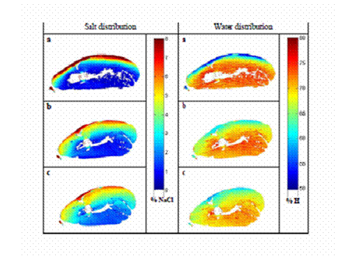 Figure 4.4 Salt and water in slice of dry-cured ham (Source: Arnau, J., et al, 2009)